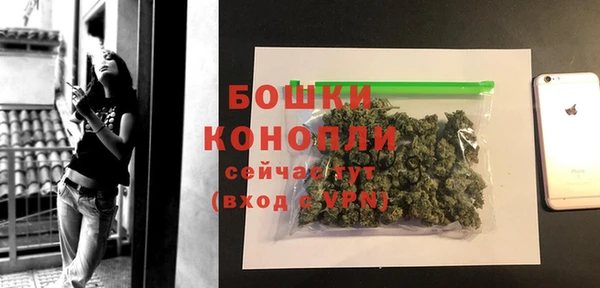 PSILOCYBIN Вязьма