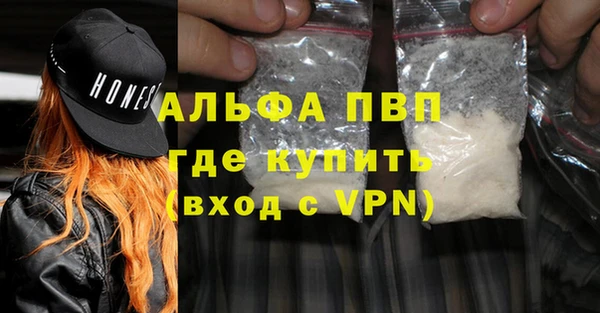 твердый Вяземский
