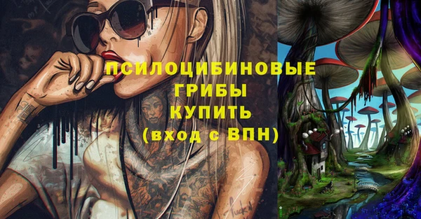 твердый Вяземский